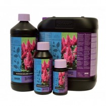 ATAMI BLOSSOM BUILDER LIQUID 250 ML B’CUZZ